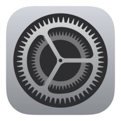 Icon representing the iOS Settings app, showing a gray gear on a light background.