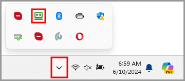 the RoboForm taskbar icon