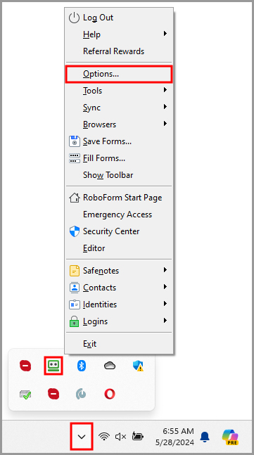 showing how to access Options from the RoboForm taskbar icon’s menu