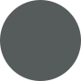 Grey circle showing RoboForm brand color.
